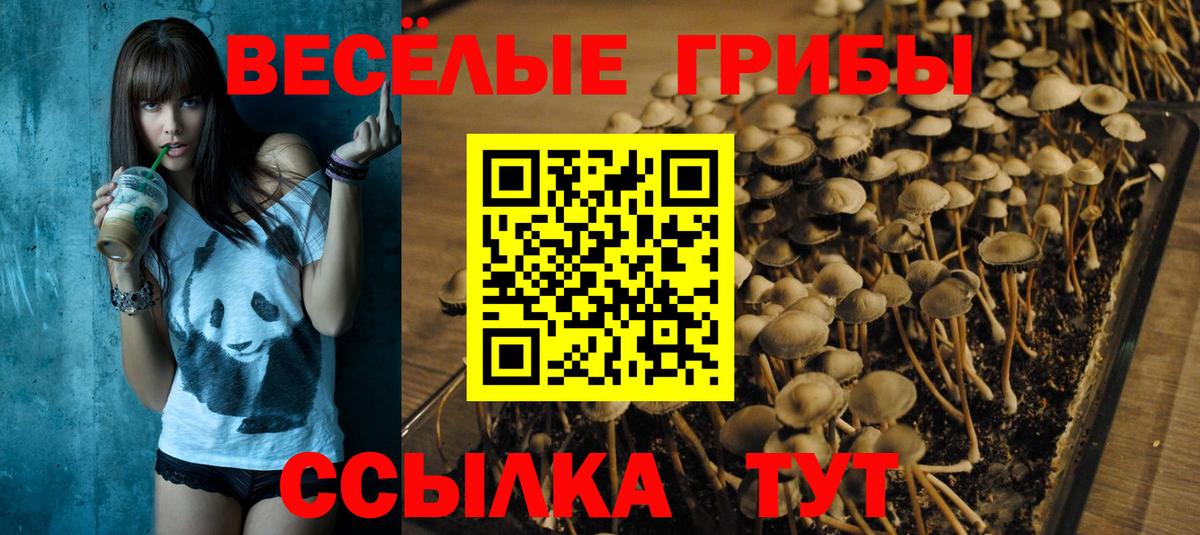 Галлюциногенные грибы Cubensis  Галлюциногенные грибы мицелий  Вход с VPN  Владикавказ 